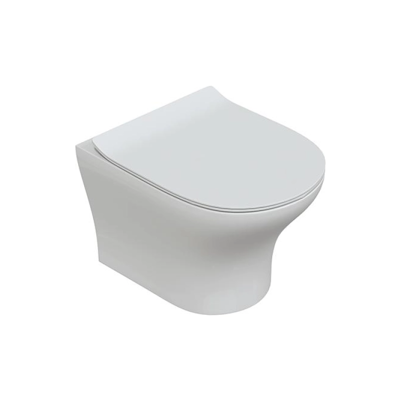 Унитаз подвесной OMEGA, безободковый, сиденье дюропласт, микролифт, УТ000051491