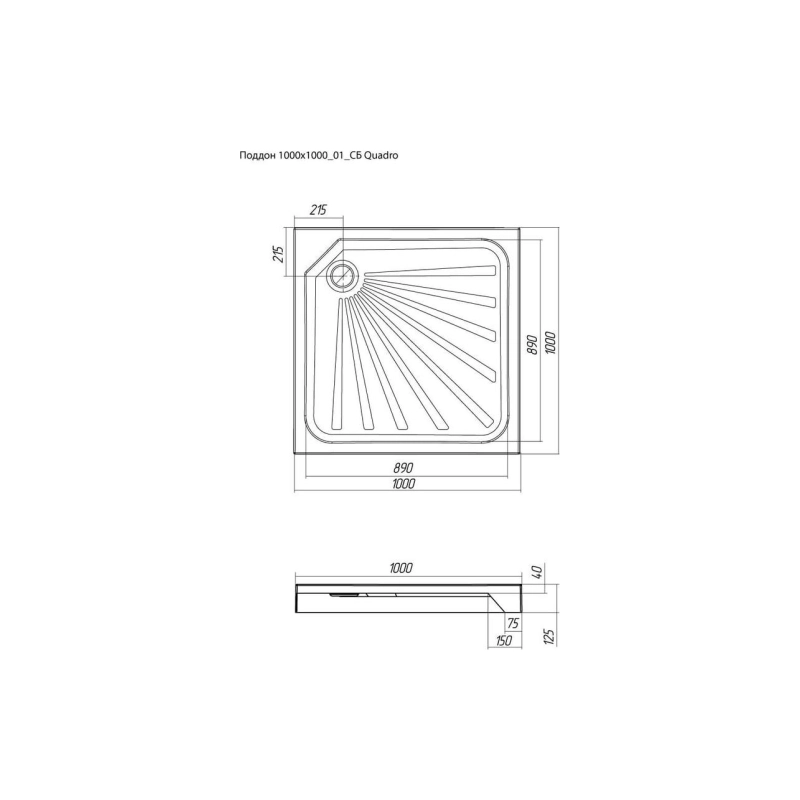 Душевой поддон из ABS пластика Quadro 100х100х12 см, квадратный, сифон, с ножками, 01пкв10К