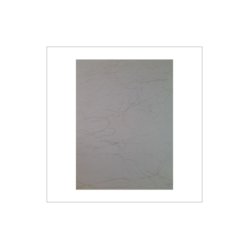 У.С. Панель ПВХ ламинир. (0,008*0,25*6) 